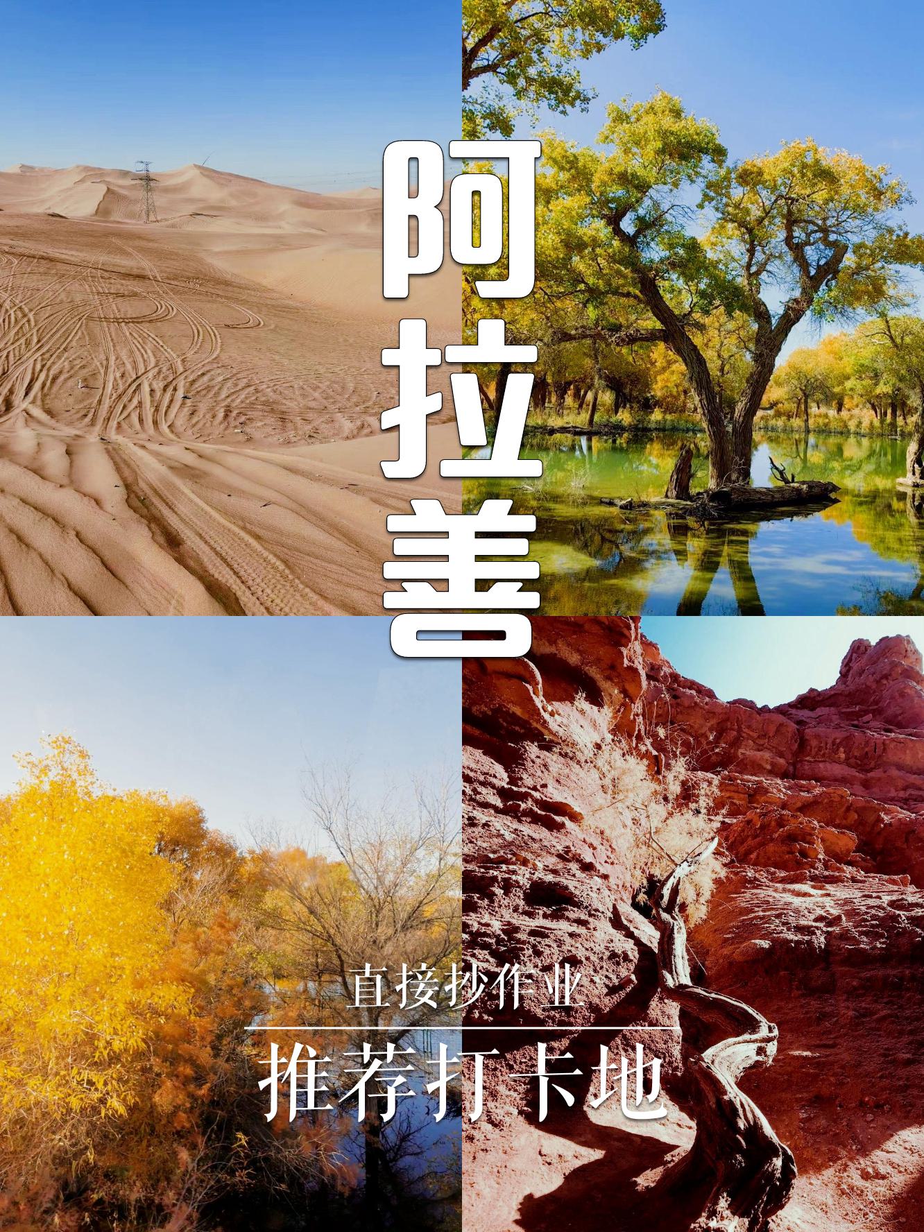 阿拉善在哪,阿拉善属于哪里