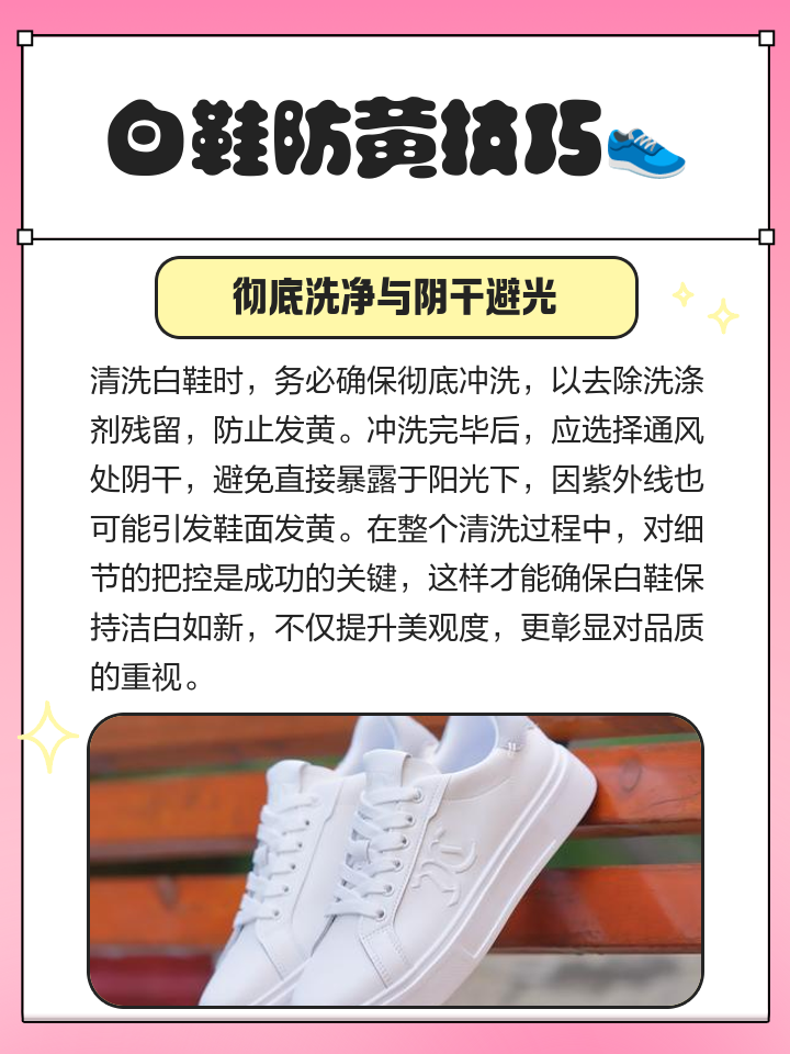 2025年9月 第12页