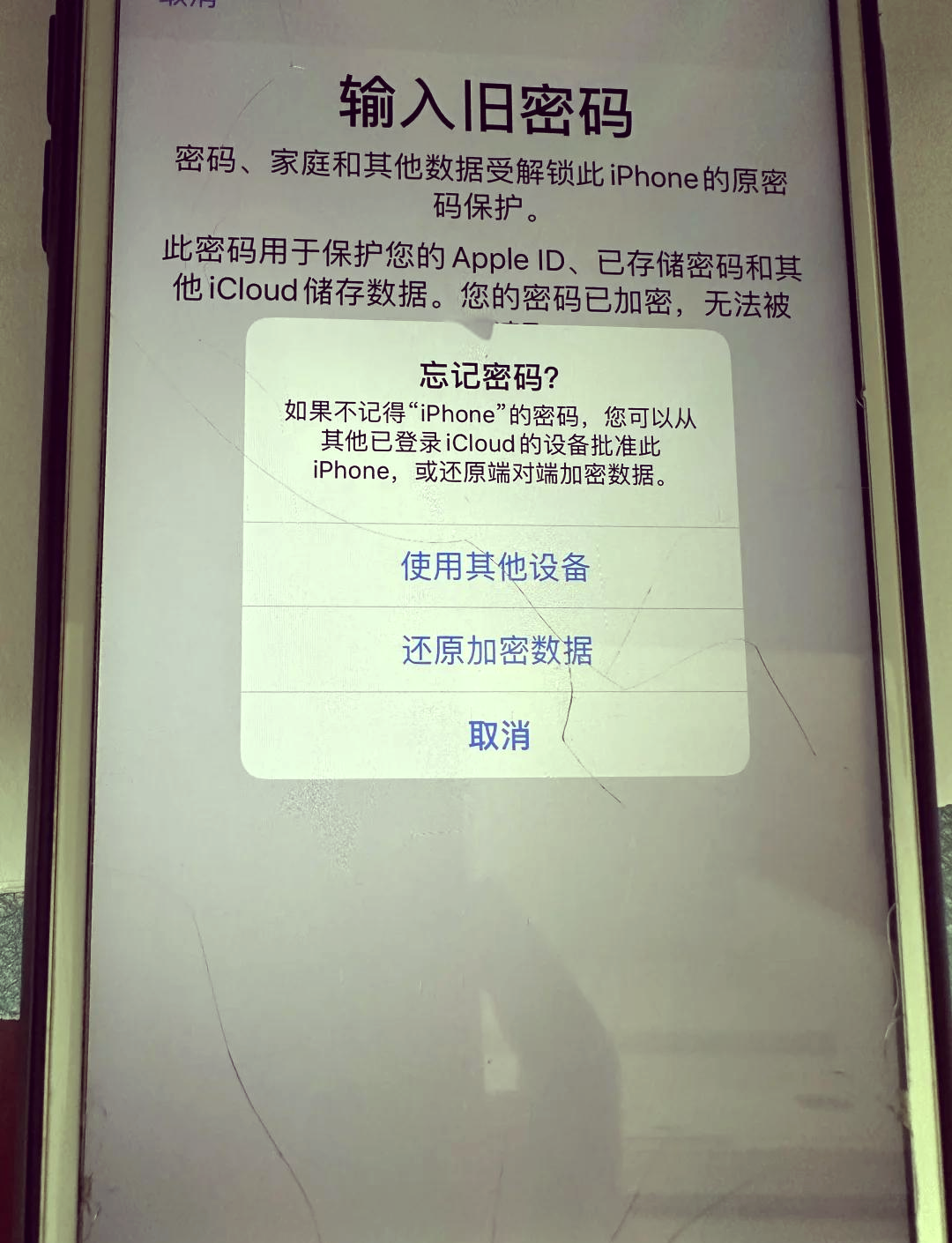 icloud密码忘了怎么
